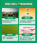 乡当牛的六大核心优势，凭什么值得合作伙伴信赖？